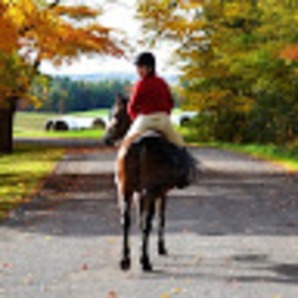 Meet your Posher, Meggie - Picture 1 of 1